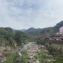 할매보리밥 | [영광 불갑면] 불갑사 상사화 보러 왔다가 할매보리밥에서 막걸리만 마시고 돌아간 후기