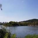 서호공원 이미지