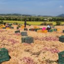 은하수농장 이미지