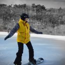 조촌작은도서관 | 제멋대로, 찬란하게