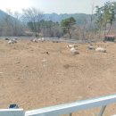 현암목장 이미지