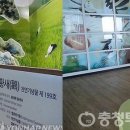 황새공원 다목적광장 Daum카페