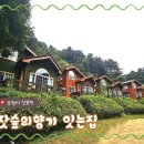[포천 여행 펜션] 내돈내산! 감성 가득 펜션 &lt;잣숲의 향기잇는집&gt; 자연과 책, 힐링되는 공간 :) 🌳📚