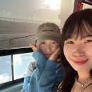 국내여행기｜스쿠버다이빙 운전왕초보 6월 제주여행