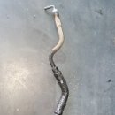 에이스 CRDI 이미지