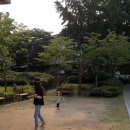 5월 마지막주 연차데이..소박하게산것들...