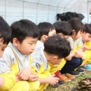 남정농장 이미지