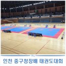 스카이(SKY) 태권도장 | [인청공항 스카이돔] 인천 중구청장배 태권도대회 참가 후기