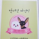 꼬까밥 이미지