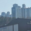 안성시배드민턴장 이미지