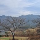 무척사랑한우먹거리촌 이미지