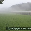 (주)농업회사법인 수림농원애 네이버블로그