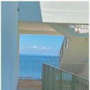 코랄트리 풀빌라 이미지