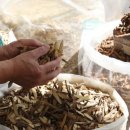 톡바른경희한의원 이미지