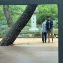 영남밧데리 | 울산 여행(feat. 영남 알프스)