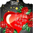 개인용달 Daum카페
