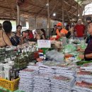 섬안농장 이미지