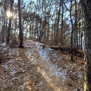 시청서5길 이미지