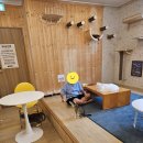 캣카페 집사의하루 분당점 | 여름방학 서현역 캣까페 집사의 하루 분당점과 돈화당서현점