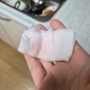 춘향이치킨 | 잡다한 일상 / 고양이들 노는 영상, 턱드름 제거, 펫츠놀로지배변화장실사용후기, 골뱅이무침소면 만들기