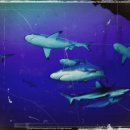 영민하우스 이미지