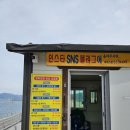 투어바다 | 여수 오동도 모터보트 타고 바다에서 즐긴 절경 투어 후기