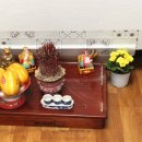 Que Huong Quan 이미지