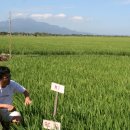 호산나농장 이미지