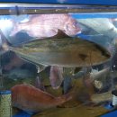 대방상회 이미지