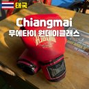 치앙마이 무에타이 체험 후기 예약 준비물