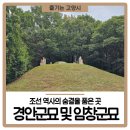 경안군 및 임창군묘 이미지