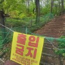 어린이회관등산로 이미지