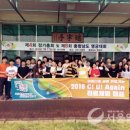 충남청과 이미지