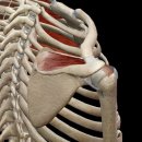 이즈메디의원 이미지