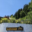 모암제 | 장성여행 축령산 편백치유의숲길과 모암제