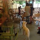 오키도기 이미지