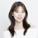 어라운디 이미지