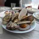 궁리회센타 이미지