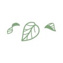 O.K수산