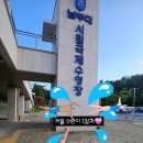 남부대국제수영장수영복