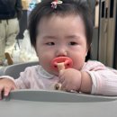 보성약국 | 4월 5주차 일상 글ㅣ지안이 병원...감기..고열..독감,코로나,혈액검사, 분변검사