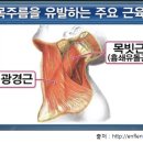 몸사랑피부샵