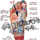 생명에너지 이미지