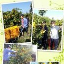 은선농장 이미지