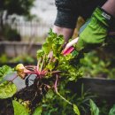 수원종묘농약사 이미지