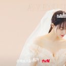 이게웬떡 이미지
