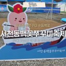 11545-02-05-56 | 2026 서천 동백꽃쭈꾸미축제 마량진항 다녀옴 현실후기 쭈꾸미시세 부터 먹거리, 주차까지 총정리