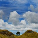 호수위의 하루 이미지