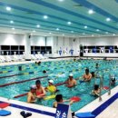 조코치의 수영교실 이미지