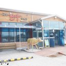 금송한우 직매장 이미지